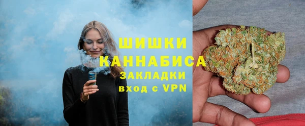 дживик Нягань
