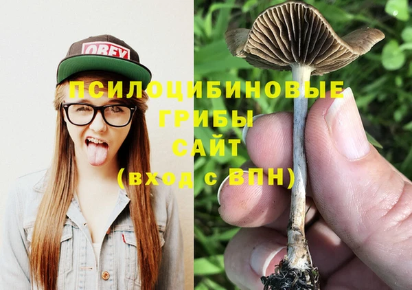 винт Алексин