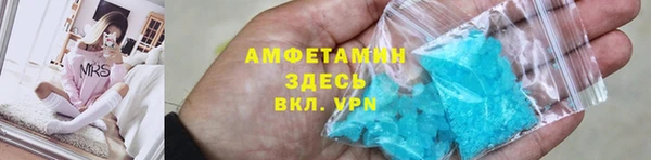 стаф Алзамай