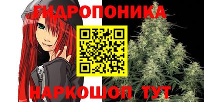 гидропоника Чапаевск