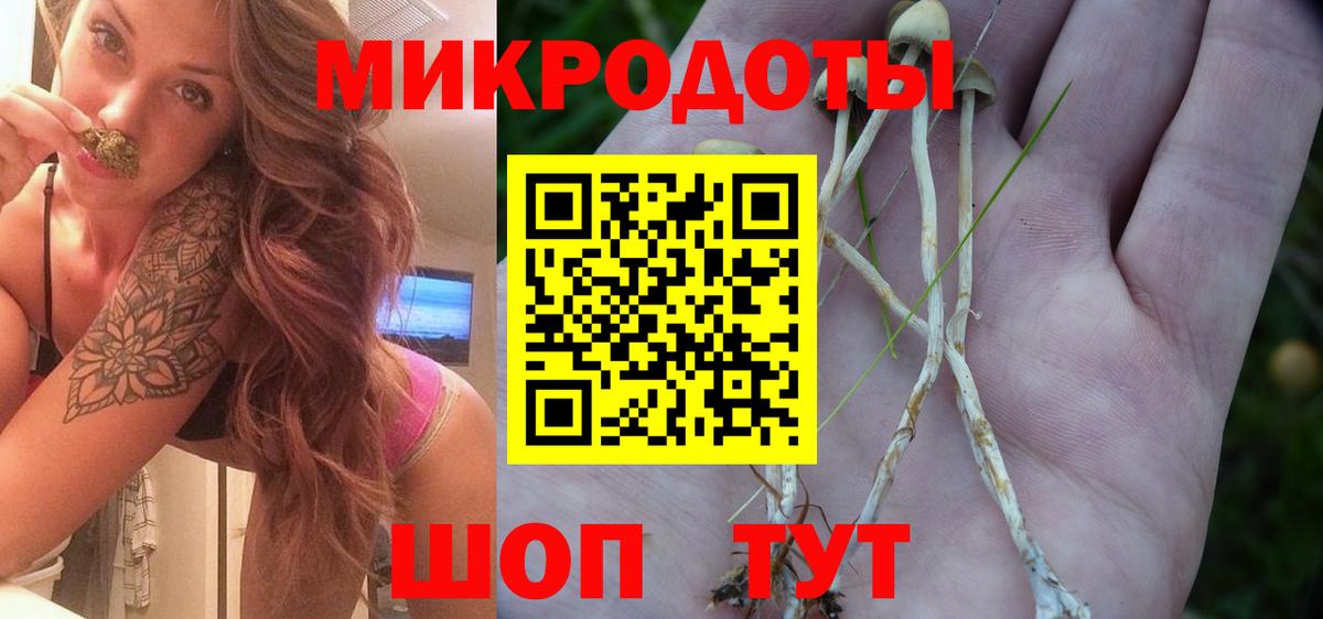 Псилоцибиновые грибы MAGIC MUSHROOMS Благовещенск