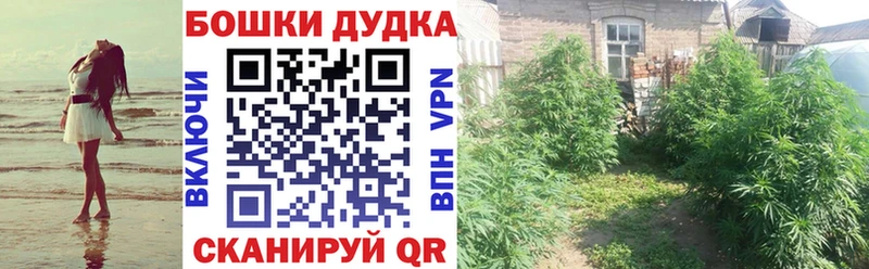 darknet Telegram Благовещенск Шишки марихуана конопля наркошоп
